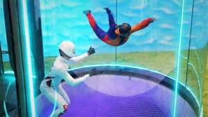 Read more about the article Wall Art for India’s First Indoor Sky Diving Arena